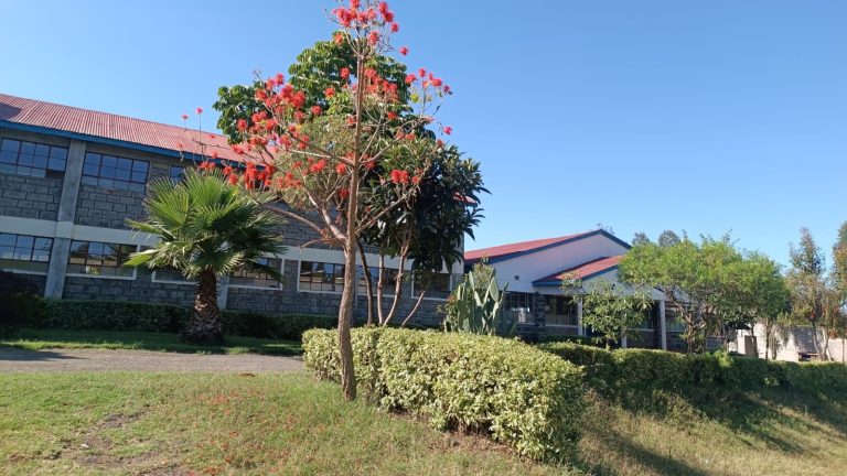 SAVE_20250403_141801